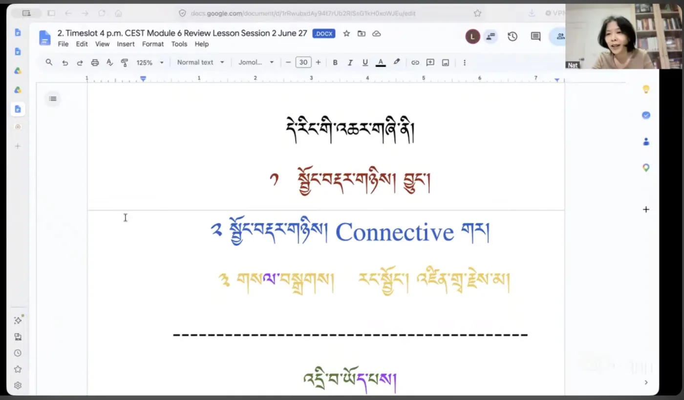 Franziska walking through Tibetan grammar live on a shared lesson doc